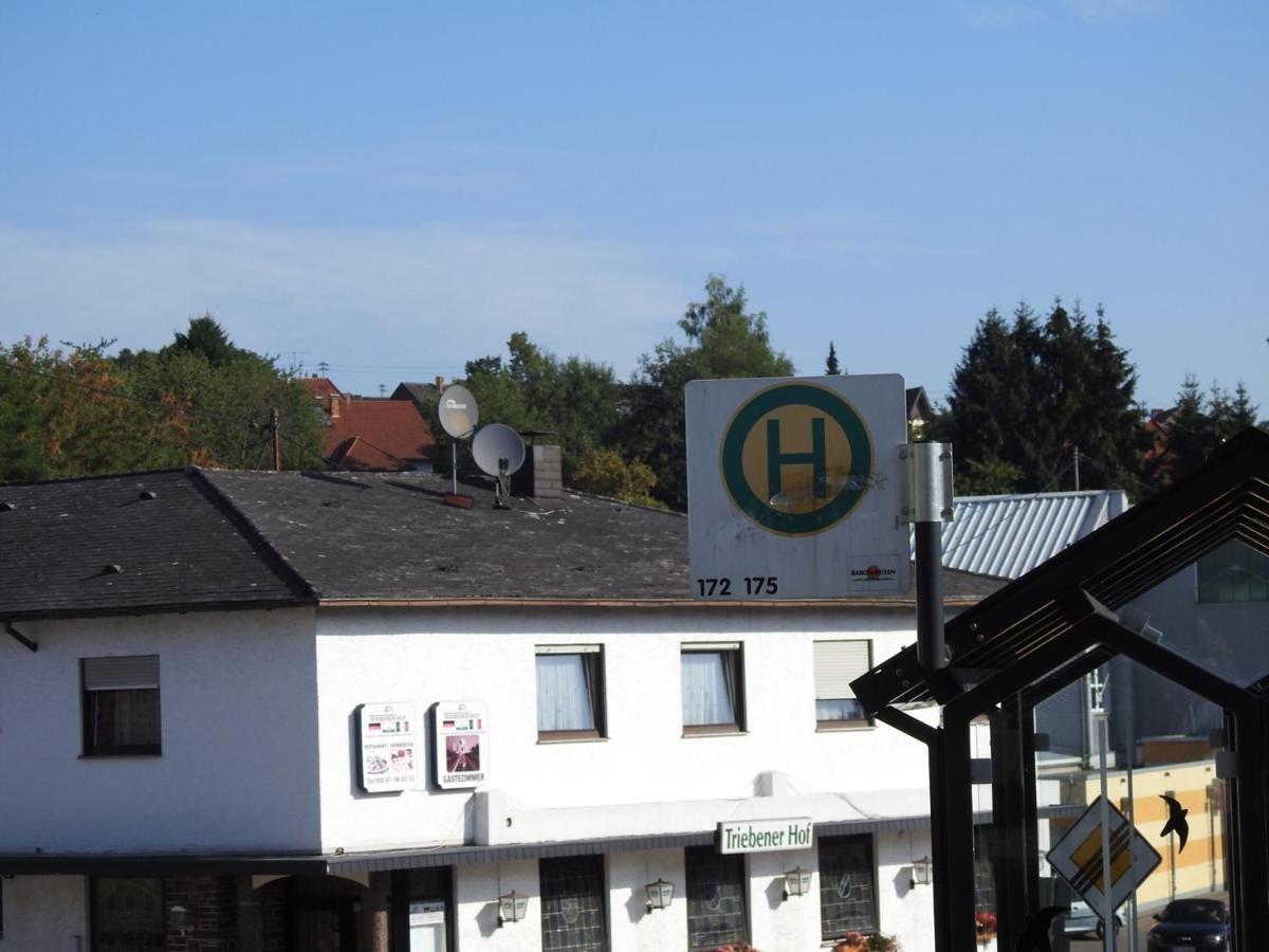 ホテル Triebener-Hof クヴィーアシート エクステリア 写真